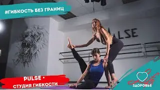 Любинский.Life/ Здоровье/ Первая студия гибкости в Омске &laquo;Pulse&raquo; / 28.07.2020