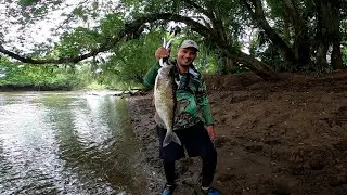BIG Machaca +2.5 Kg con el Grillito Rebel🦗🐟🎣🛶🏞️💪🏼😎👌🏼