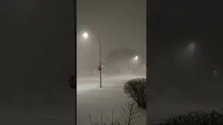 Winnipeg Snowstorm LIVE | Blizzard Conditions ❄️🇨🇦 #snowstorm #viral #ytshorts #WinnipegSnow #shorts