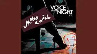 Voice of the Night