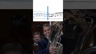 The Most Orchestral Tuba Sound But Used as a Soloist | Perry Hoogendijk plays The Overton Window