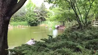Kariya Park in Mississauga