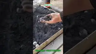 Small Ball Mill Grinder | What is Ball Milling | Rotary Ball Mill Machine for Sale #ballmill