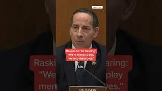 Raskin on Hur hearing: 'We're trying to play memory detectives.'