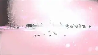 HAVVN Trendfronter Intro