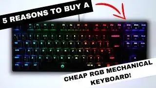 5 Reasons to Buy a CHEAP RGB Mechanical Keyboard!