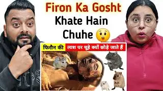 Indian Reaction on Firon Ki Laash Par Chuhe Kyu Chode Jate Hain? 😲 | Dil Se React