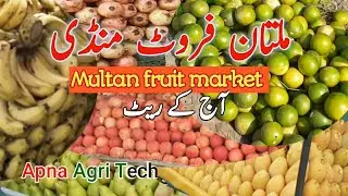 multan fruit market today's update.