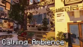 Calm Ambience | Minecraft Music C418