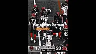 Bear down