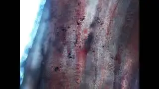 Kopolty&uacute; vide&oacute;