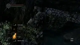 Dark Souls - How defeat The Black Knight from Undead Burg (easiest way)