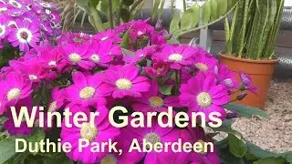 The Winter Gardens, Duthie Park, Aberdeen, Scotland.