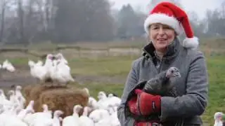 Weihnachts-Pute Land & lecker