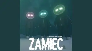Zamieć