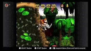 Donkey Kong Country: 1-1 Jungle Hijinx Hidden Rooms