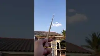 bamboo fishing rod 🎏🐟#fishing #ตกปลา #เบ็ดไม้ไผ่