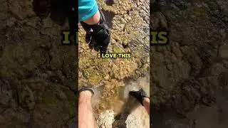 Finding ancient fossil coral that has slowly turned into colorful Agate over millions of years!