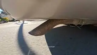 The View from My Tailpipe -- Right in the Exhaust Zone (1997 Mercury Grand Marquis Dual Exhaust)
