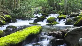 Sparkling River - Relax and Release Stress (432 Hz)