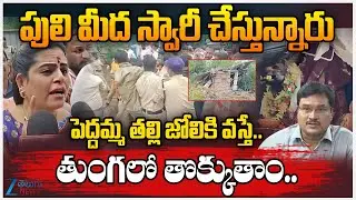 karate kalyani Serious On  Banjara Hills Peddamma Temple Issue | ZEE Telugu News