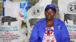 How Quality pig feed is made #pigfarming #farming #howto #homemade #pigfarming #food #feed #foodie