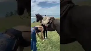 horse stunt with women #horse #stunt #women #shorts