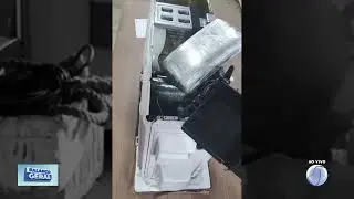 CÃO FAREJADOR ENCONTRA DROGAS EM VISTORIA DENTRO DE BARCO
