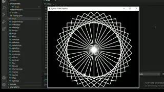 Python turtle amazing pattern|Animated turtle python pattern graphics