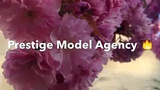 Видео отзыв Светланы о работе в Люксембурге. Менеджер Prestige MA- Светлана Лисицына
