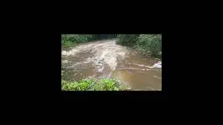 Hurricane Debby Flooding Georgia Creek #hurricane
