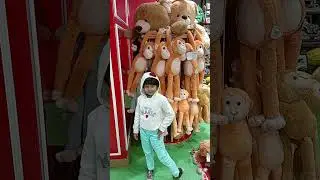 Beautiful Monkey 🐒🐵 Tedy #shorts #ytshorts #viral #teddy #monkey #anupamajourney2
