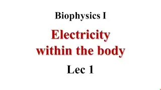 Electricity within body Lec1 Biophysics I