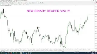 NEW BINARY REAPER v23 IN LIVE TRADING !!!  GET IT IN DOUBLE PROMO PACKAGE WITH FREE STRATEGY #3 !!!