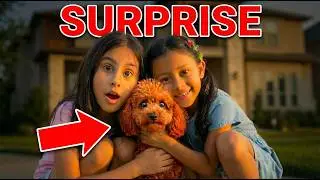 They Had No Idea What the Surprise Was&hellip;