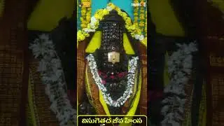 #telugudevotionalsongs  విసుగెత్తద జీవ హంస Visugetada Jeeva Himsa | Devotional Song@SSAAudioHinduSGK