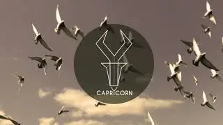 CaprYcorn - Twist in my sobriety