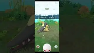 Mega Raid Day So Many Mega Mawile Raid No Shiny Found Sad Life #shorts #ytshorts #trending #megaraid