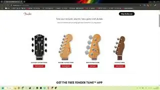Fender, are you okay? Your online tuner is broken