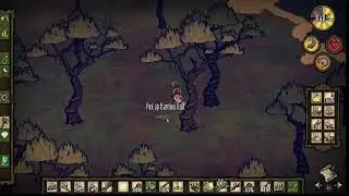 Don't Starve Shipwrecked (Woodlegs) - Skull Island, Day 5