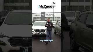 Wait, there's more than just Subarus? 🤨 🚗