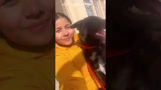 #minivlog #viral #shortvideo #youtubeshorts #love #dailyvlog #streetdog #animals #veteran