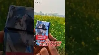 pan masala lovers ke liye #shorts #shortfeed #trending