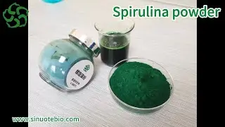 Spirulina powder