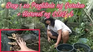 BAKBAKAN SA GARDEN | PART 1| + LUYA  HARVEST by BHING - Gardening