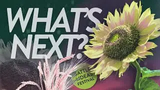 Can Ukraine hold on? | Full Debate and Q&A | Battle of Ideas 2024