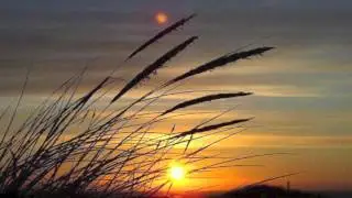 Ocean Gaya - Choices (Original Mix)