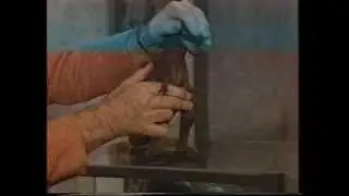 Ray Harryhausen - The Lost Video