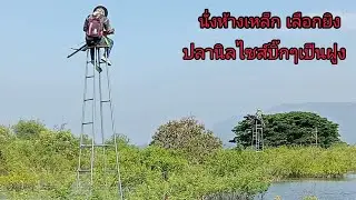 ขึ้นห้างเหล็กอ่างลำตะคอง เลือกยิงปลานิลไซส์บิ๊กๆ