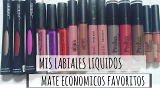LABIALES LIQUIDOS MATTE ECONOMICOS FAVORITOS